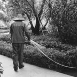 Gardening Water Hose: 7 Proven Tips to Avoid Costly Mistakes