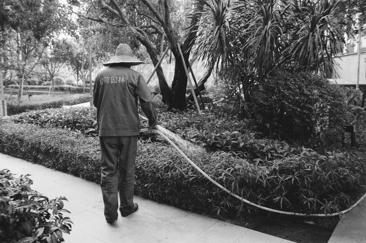 Gardening Water Hose: 7 Proven Tips to Avoid Costly Mistakes