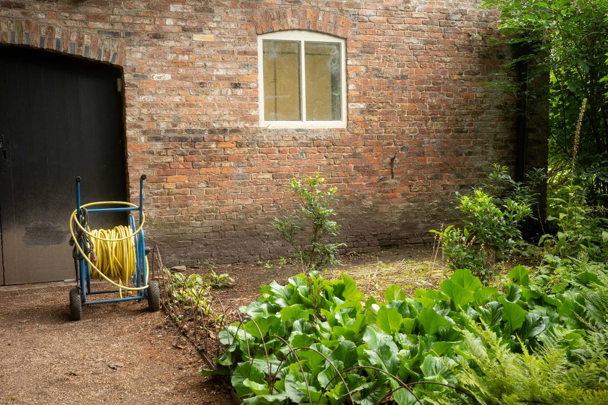 Gardening Water Hose Reel: 7 Proven Tips to Avoid Costly Mistakes