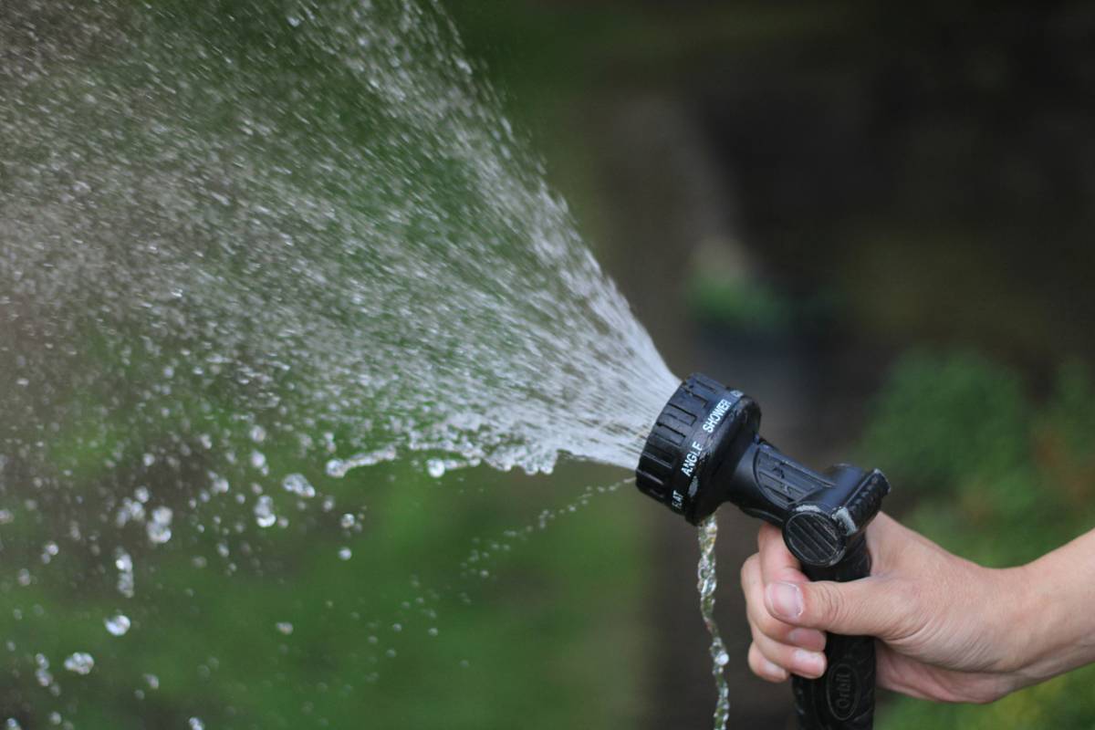 Close-up of a brass gardening water hose nozzle attached to a green garden hose, spraying a gentle mist over vegetable seedlings